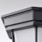 Nuvo LED Spider Cage Fixture, Black Finish with Frosted Glass 62/1400 - alternate 4